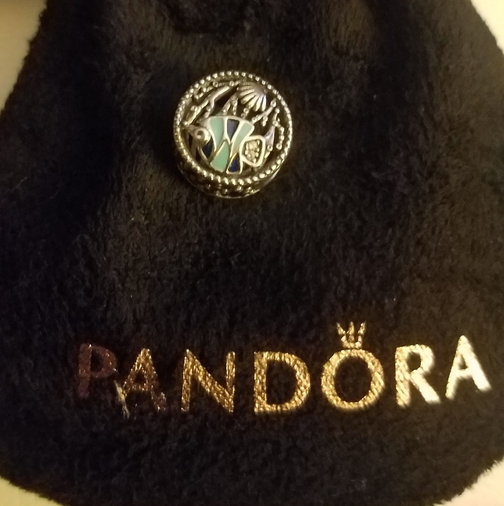 Authentic Pandora Charm!! New W/O Tags..